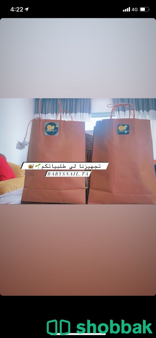 حلزونات افريقية امنة للاستخدام والتربية 🌱🌱🐌 Shobbak Saudi Arabia