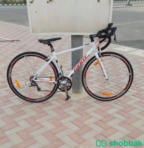 دراجة أجاينت ( دراجة طريق). Shobbak Saudi Arabia