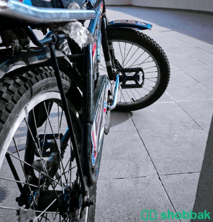 دراجة رامبو نظيفة جدا  Shobbak Saudi Arabia