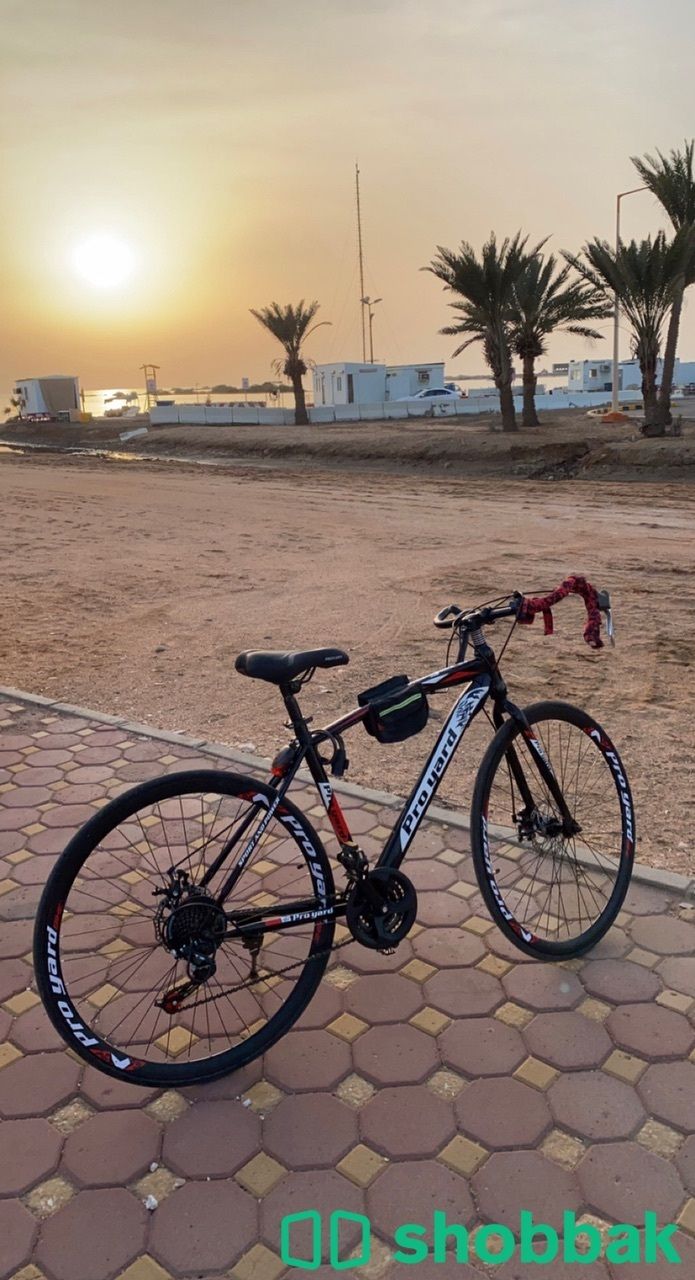 دراجة رود Shobbak Saudi Arabia