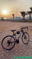 دراجة رود Shobbak Saudi Arabia