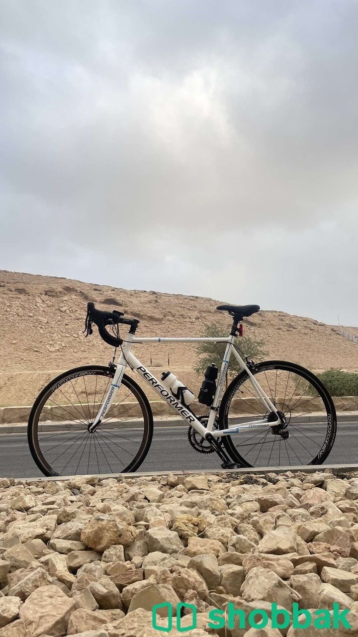 دراجة رود بيرفورمر  شباك السعودية