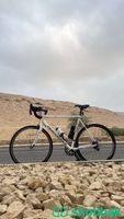 دراجة رود بيرفورمر  Shobbak Saudi Arabia