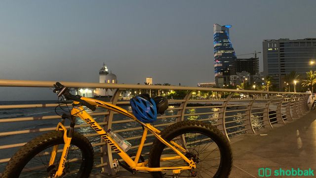 دراجة للاوزان الثقيلة Shobbak Saudi Arabia