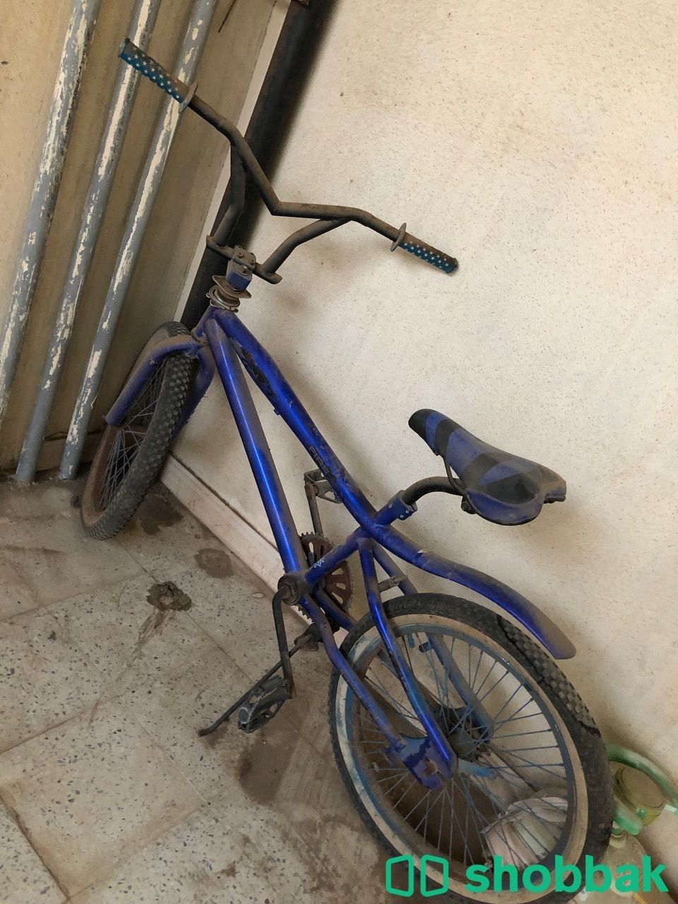دراجة كوبرا Shobbak Saudi Arabia