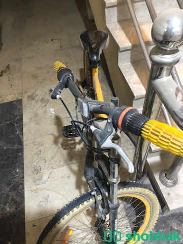دراجة مستعملة استعمال بسيط للبيع Shobbak Saudi Arabia