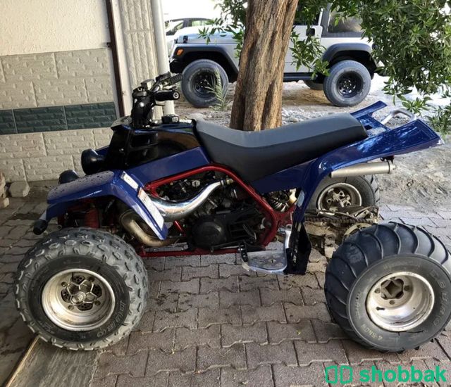 دراجة ناراية 2002 🏍 شباك الإمارات العربية المتحدة