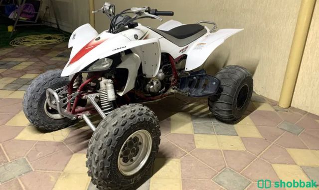 دراجة نارية 🏍 شباك الإمارات العربية المتحدة