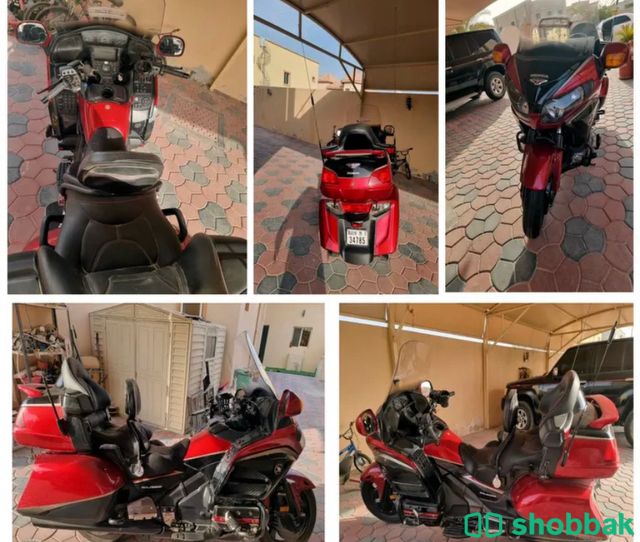 دراجة نارية 🏍 شباك الإمارات العربية المتحدة
