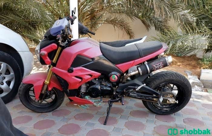  دراجة نارية Honda msx125 شباك الإمارات العربية المتحدة