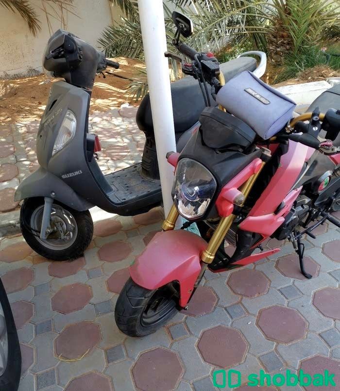  دراجة نارية Honda msx125 شباك الإمارات العربية المتحدة