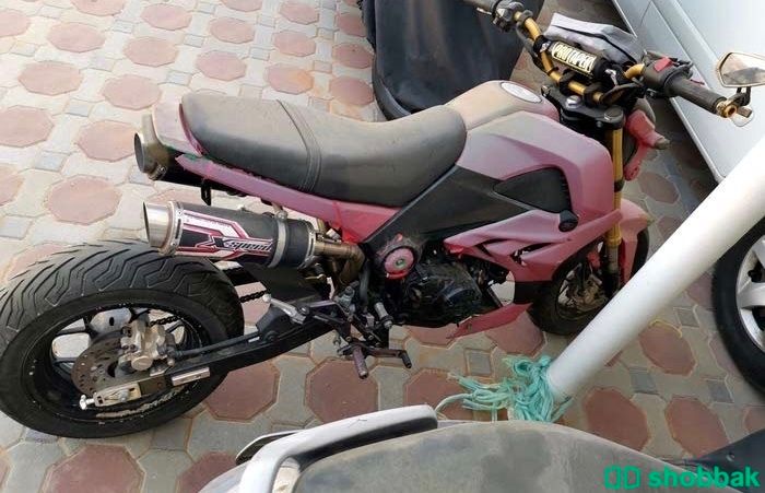  دراجة نارية Honda msx125 شباك الإمارات العربية المتحدة
