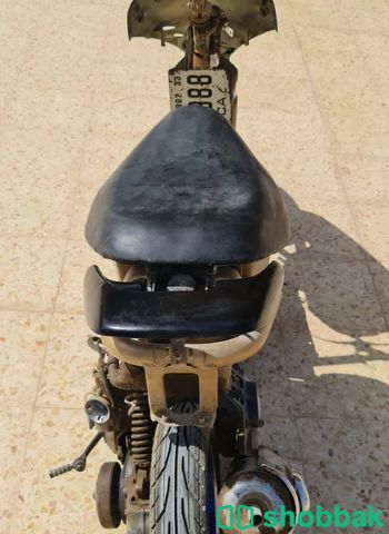 دراجة نارية هوندا 🛵 شباك الإمارات العربية المتحدة