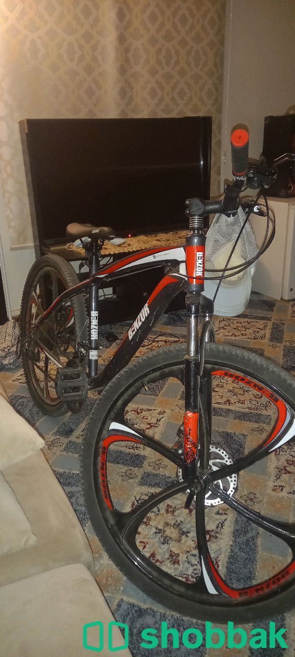 دراجة هوائية للبيع  Shobbak Saudi Arabia
