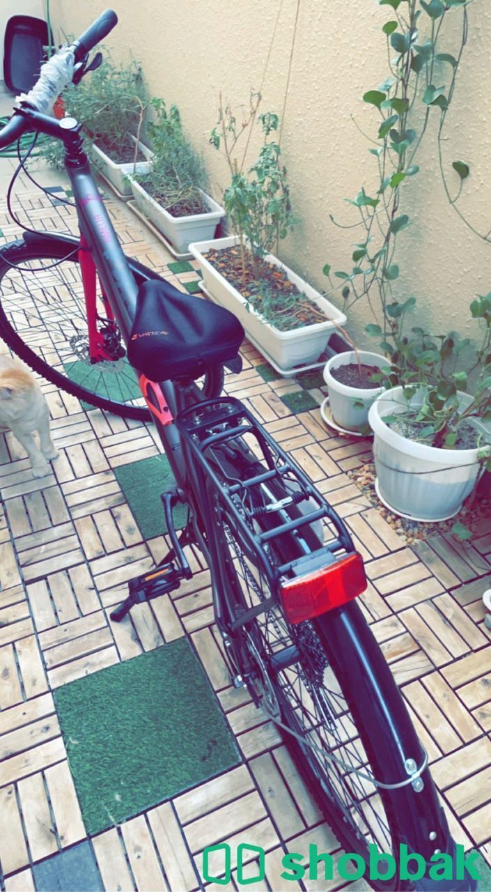 دراجة هوائية هجين للبيع Shobbak Saudi Arabia