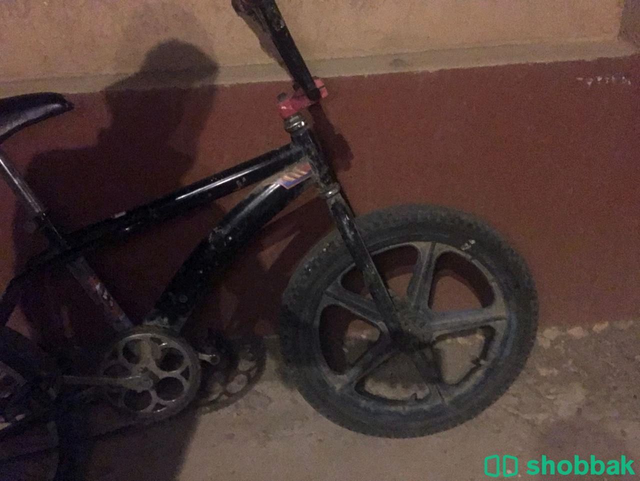 دراجه رامبو مقاس 20 Shobbak Saudi Arabia