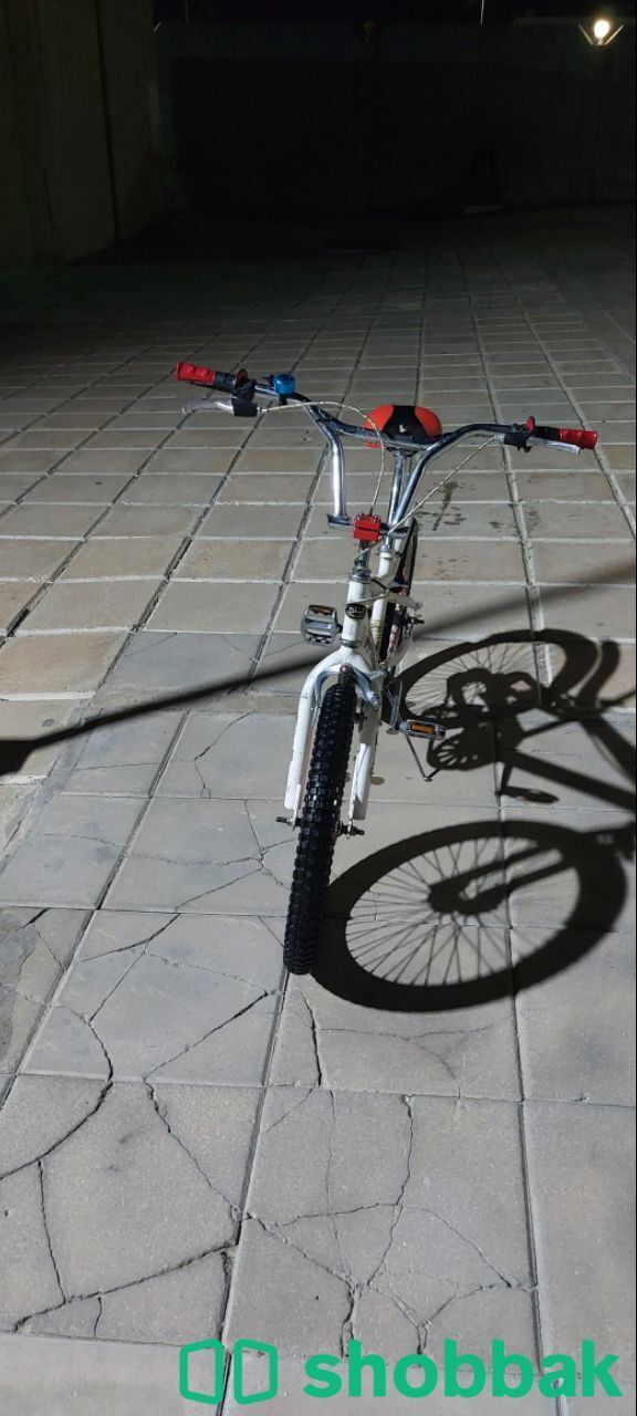 دراجه كوبرا في الاحساء ب ٤٠٠ ريال شباك السعودية