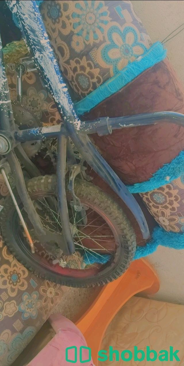 دراجه مستعمل للبيع  Shobbak Saudi Arabia