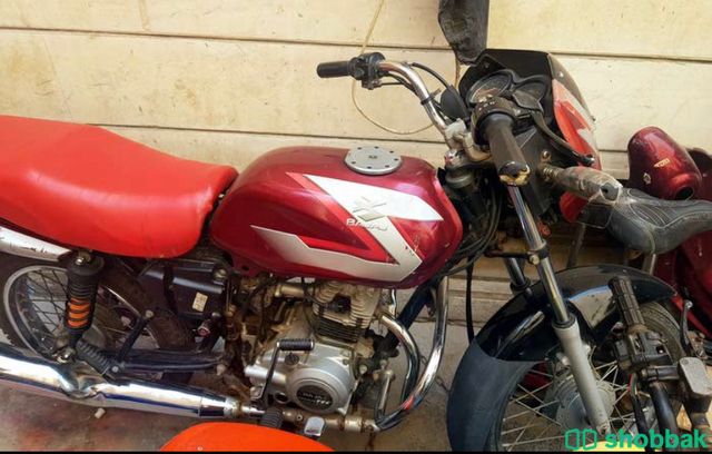 دراجه ناريه للبيع 🏍 Shobbak Kuwait
