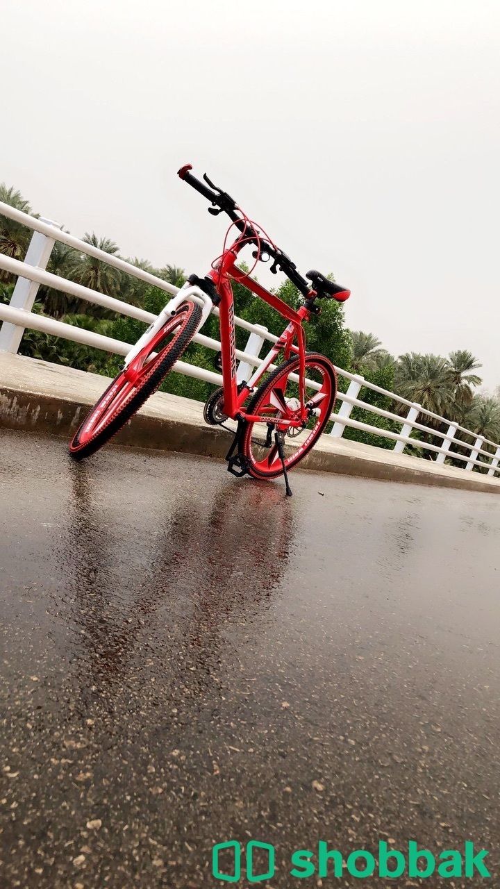 دراجه هوائيه جديده  Shobbak Saudi Arabia