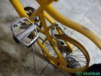 دراجه هوائيه كوبرا للبيع Shobbak Saudi Arabia