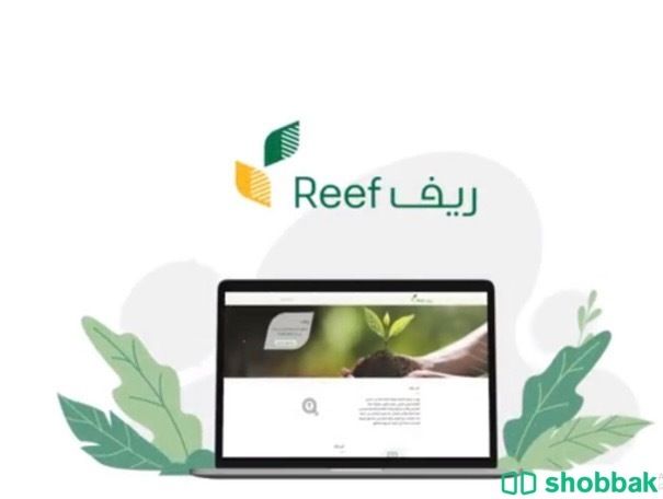 🌀دعم ريف ودراسات جدوى صحيحه ✔️  شباك السعودية