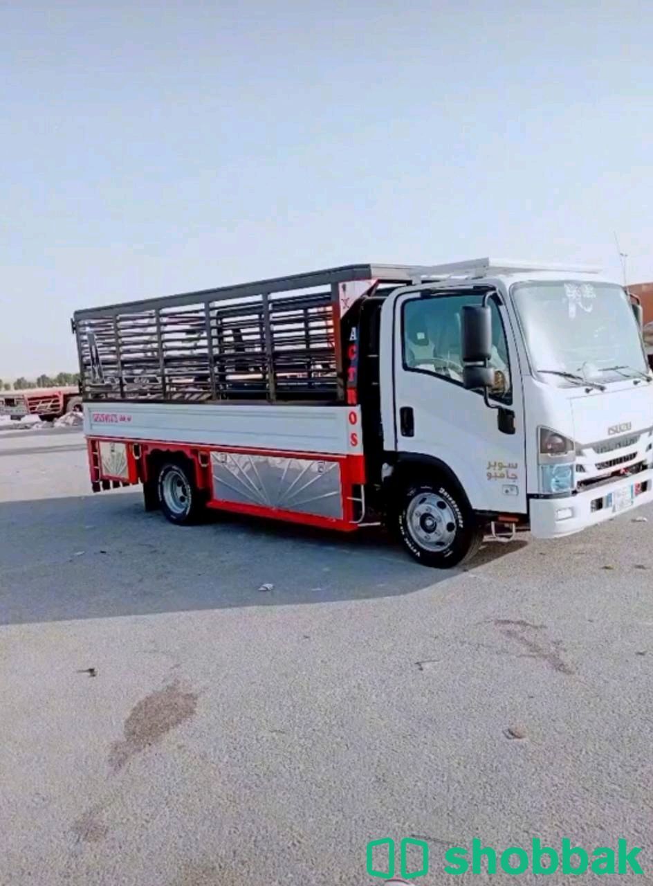 دينا توصيل اغراض باقل الاسعار داخل الرياض نقل كنب  Shobbak Saudi Arabia