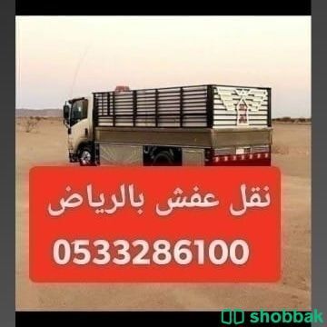 دينا نقل خارج الرياض 0َ533286100 نقل عفش شمال الرياض  Shobbak Saudi Arabia