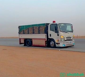 دينا نقل عفش بالرياض دينا طش اثاث قديم بالرياض  Shobbak Saudi Arabia