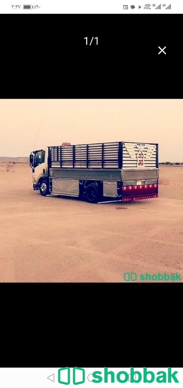 دينا نقل عفش داخل وخارج الرياض  Shobbak Saudi Arabia