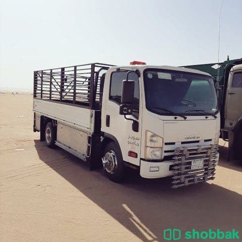 دينا نقل عفش شمال الرياض  Shobbak Saudi Arabia