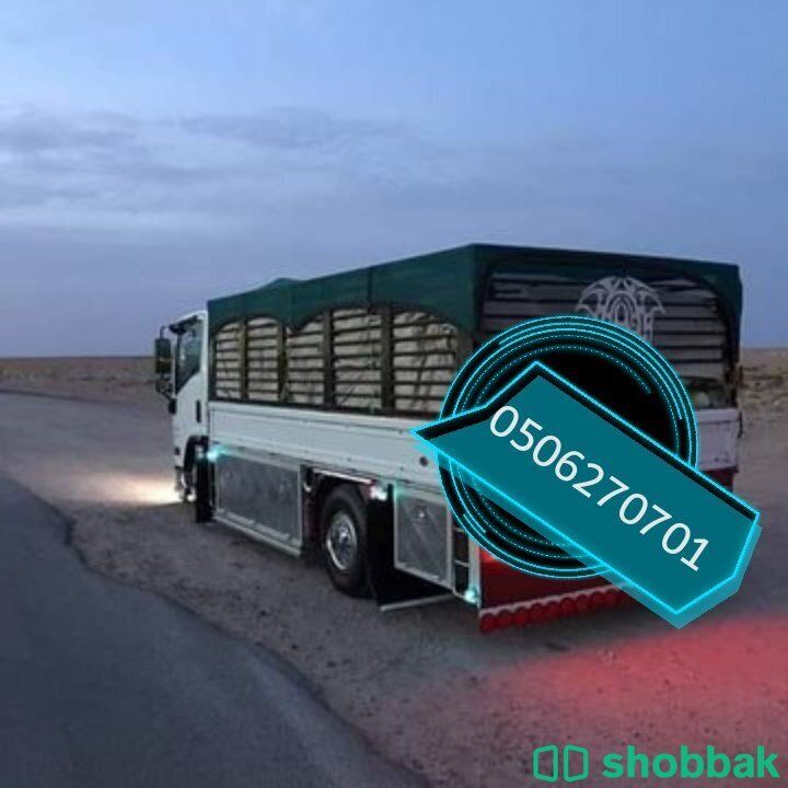 دينا وانيت نقل عفش اثاث حي النخيل حي المحمدي بالرياض 0506270701 Shobbak Saudi Arabia