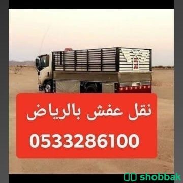 دينا وانيت نقل عفش حي الملز 0َ533286100  Shobbak Saudi Arabia