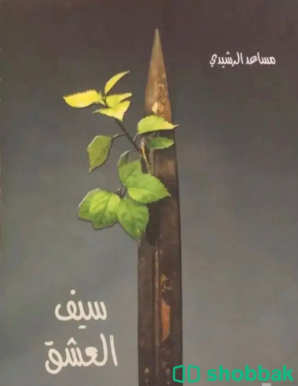 ديوان مساعد الرشيدي  "الطبعه الأولى" Shobbak Saudi Arabia