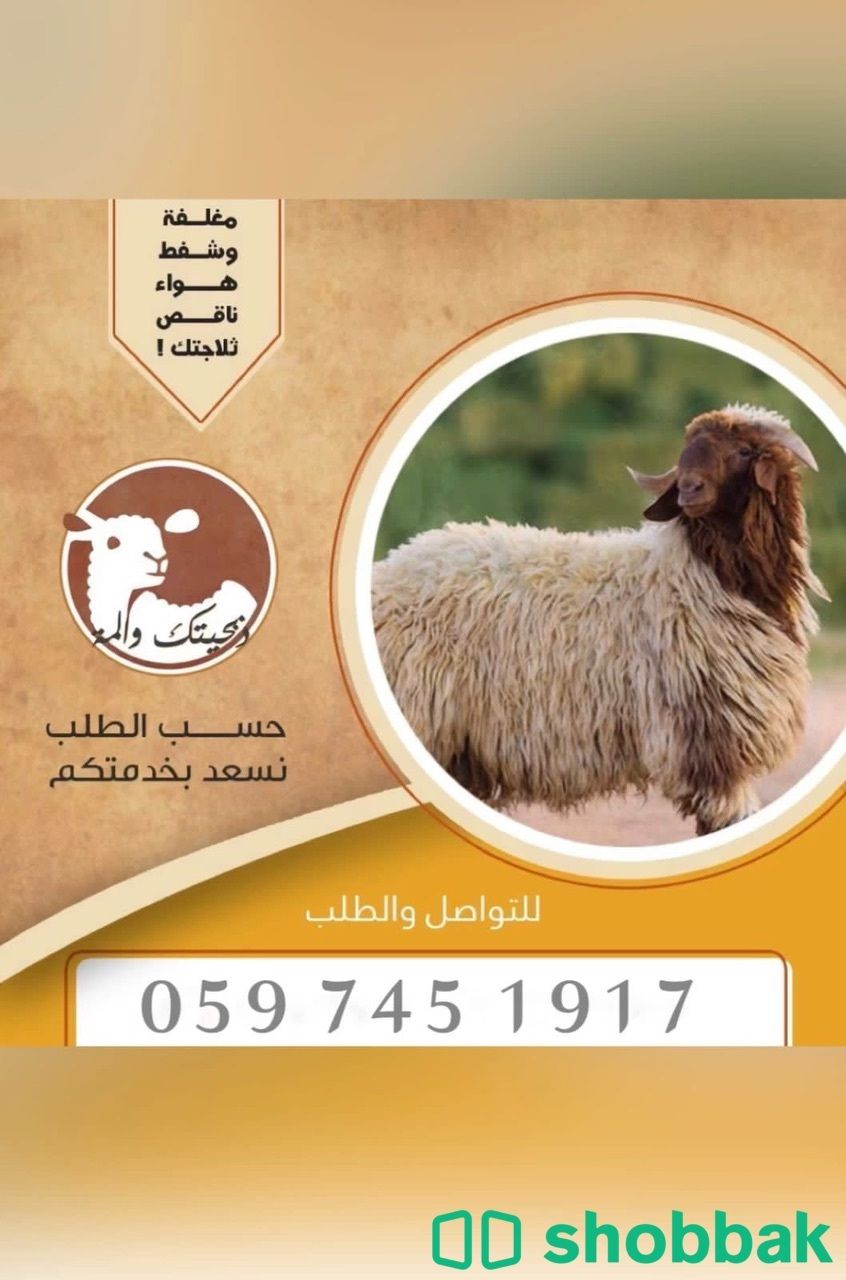 ‏ذبائح توصيل من مزارعنا ‏خدمة التوصيل والذبح متوفر لدينا Shobbak Saudi Arabia