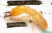 رش مبيدات الحشرات بحائل 0540349618 رش الصراصير والنمل وبق الفراش شباك السعودية