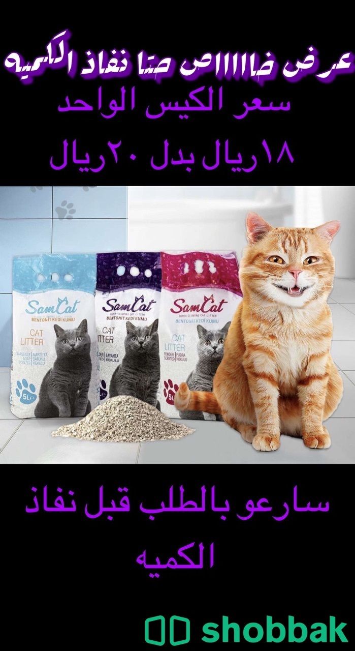 رمل قطط Shobbak Saudi Arabia