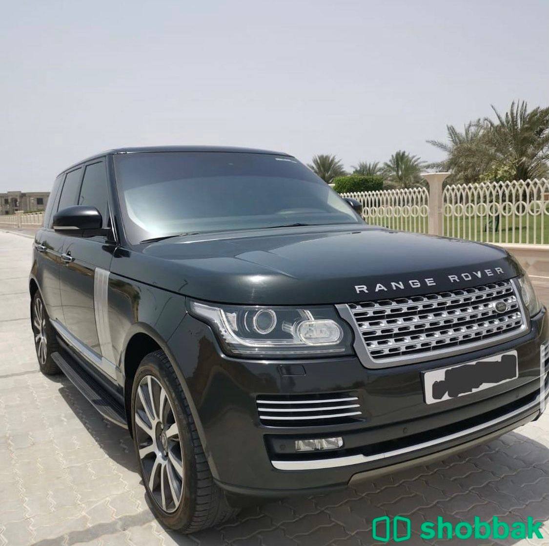 رنج للبيع شباك الإمارات العربية المتحدة