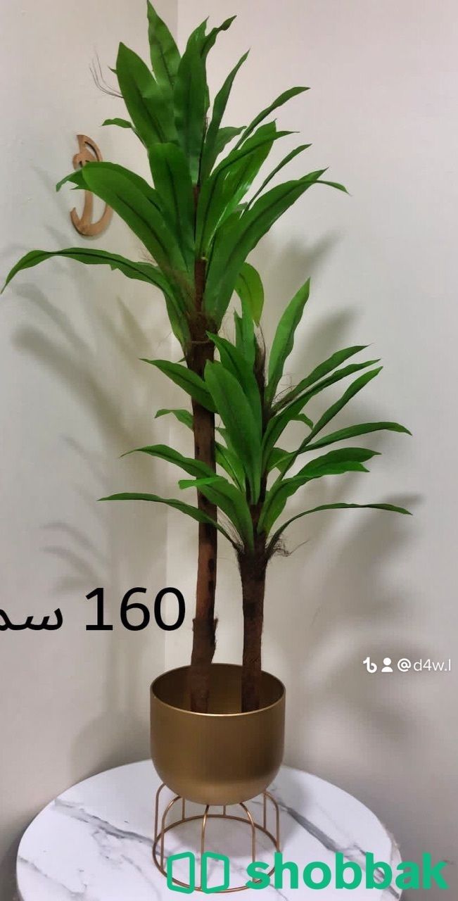 زرع صناعى باشكال فخمه  Shobbak Saudi Arabia