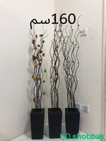 زرع صناعى باشكال فخمه  Shobbak Saudi Arabia