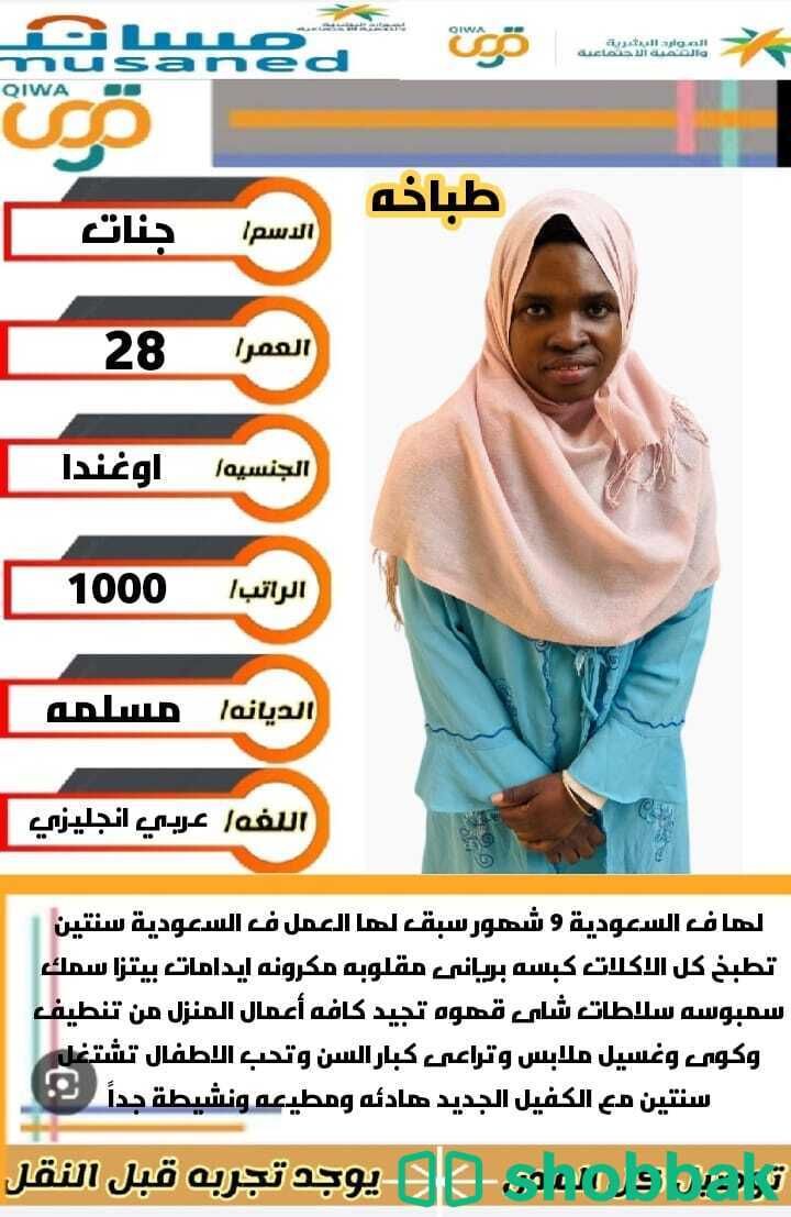سائق خاص للتنازل شباك السعودية
