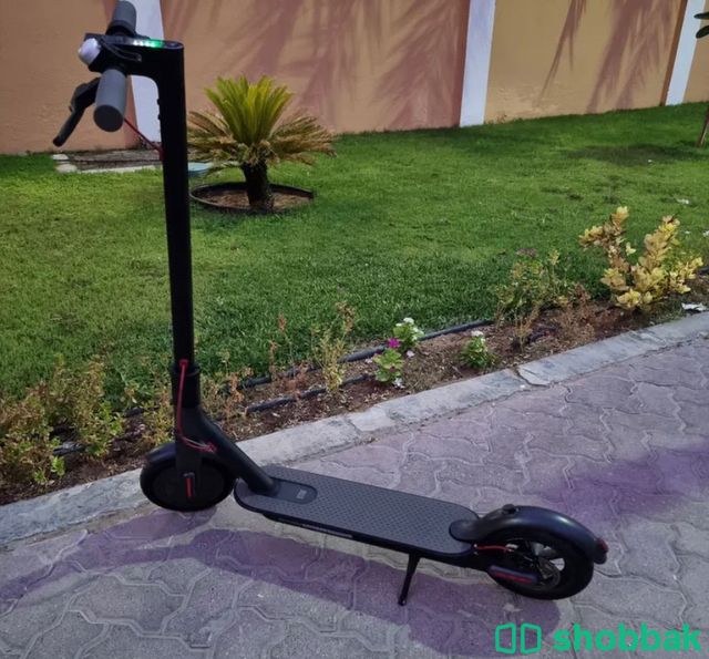 سكوتر 🛴 شباك الإمارات العربية المتحدة