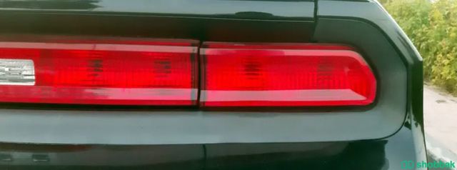 سيارة دودج 🚗 شباك الإمارات العربية المتحدة