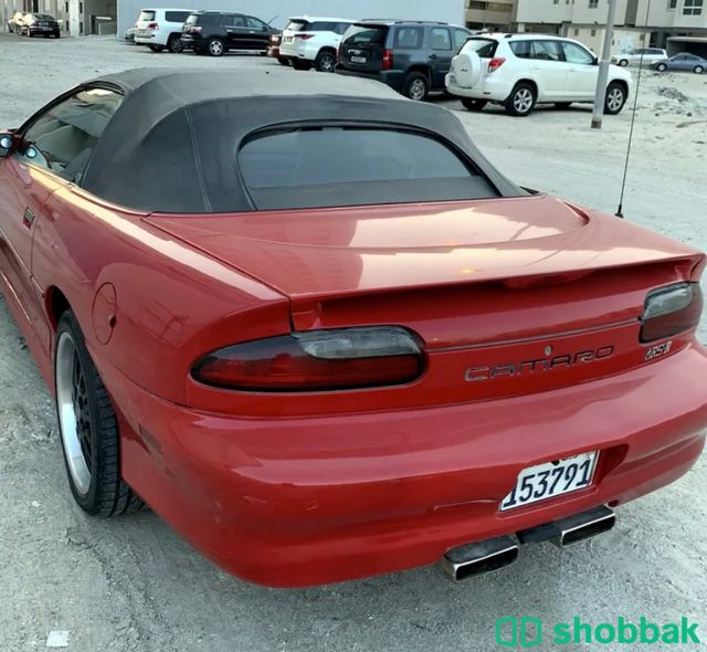 سيارة شفرولية  Shobbak Bahrain
