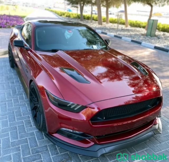 سيارة فورد 2016 🚗 شباك الإمارات العربية المتحدة