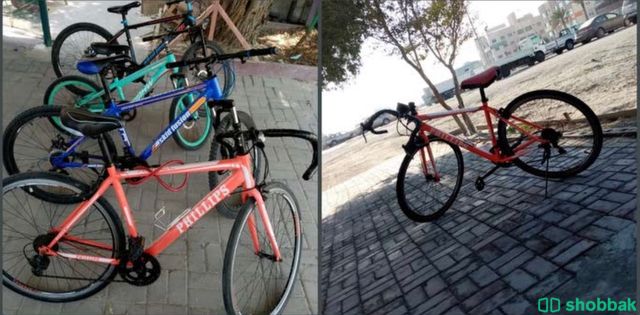 سياكل متنوعة شباك البحرين