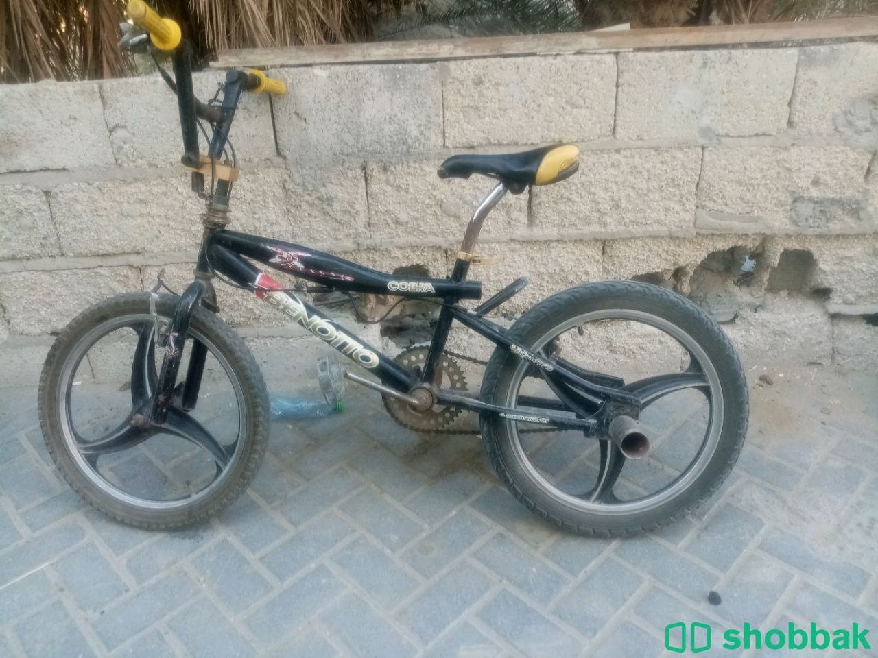 سيكل كوبرا شباك البحرين