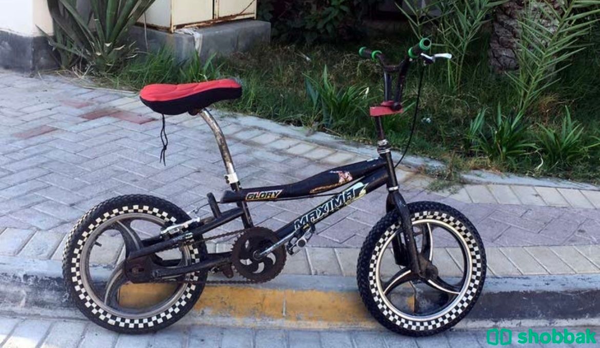 سيكل كوبرا 16 🚲✨ شباك البحرين