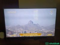 شاشة اندرويد ٦٥ بوصة 4K led سمارت مع إضاءه خلفيه مدمجه Shobbak Saudi Arabia