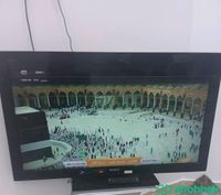شاشة تلفزيون  شباك السعودية